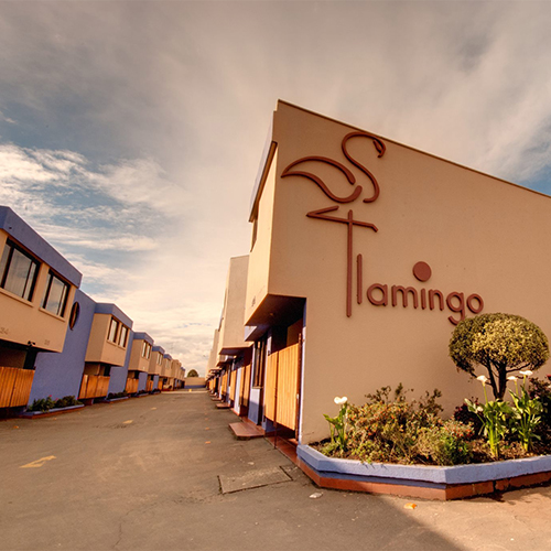 Motel Flamingos